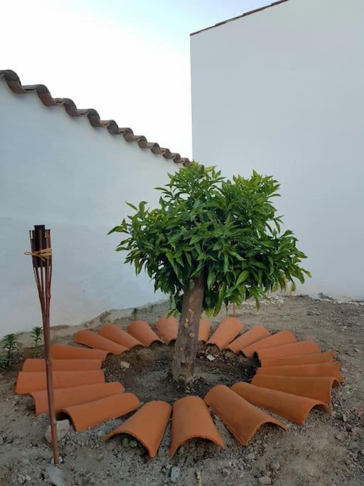 Povoa de Sao Miguel Casa Da Enxotaヴィラ エクステリア 写真